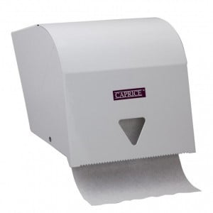 Paper Towel Dispenser